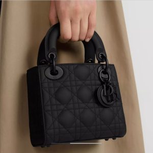 Dior bag